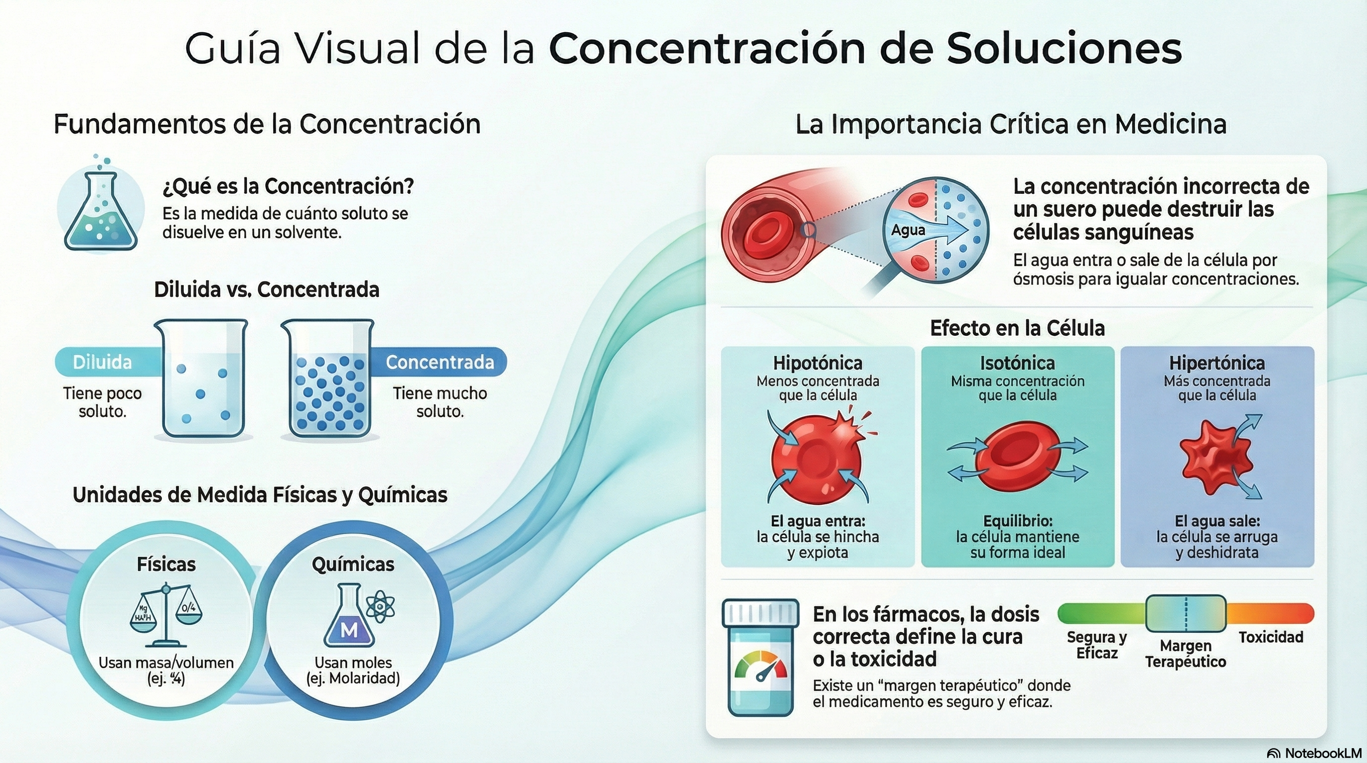 Infografía Composición